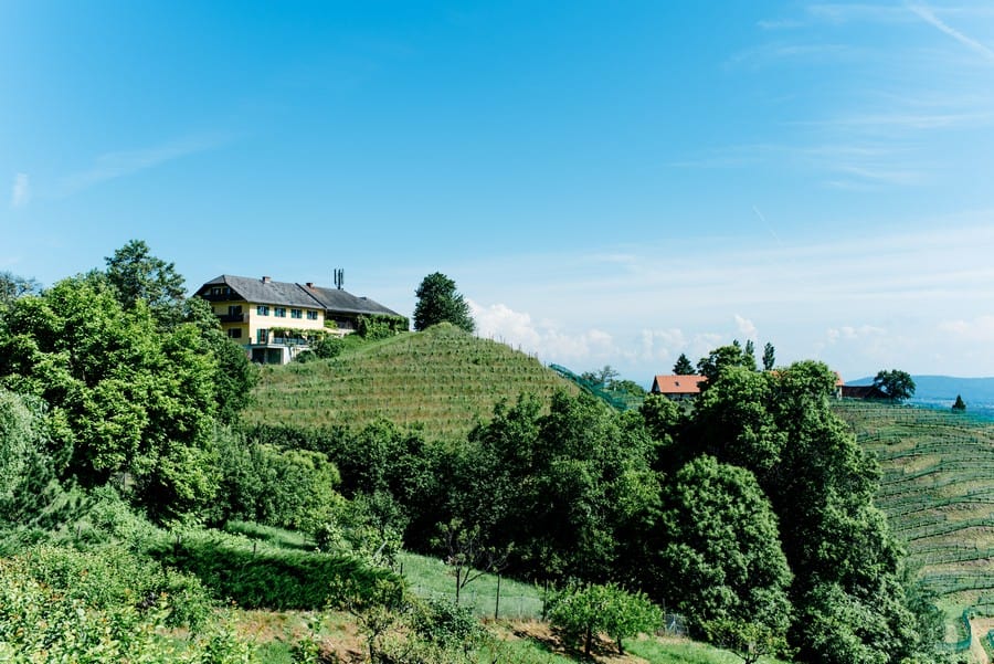 SüÃe trachtenhochzeit in den weinbergen der steiermark